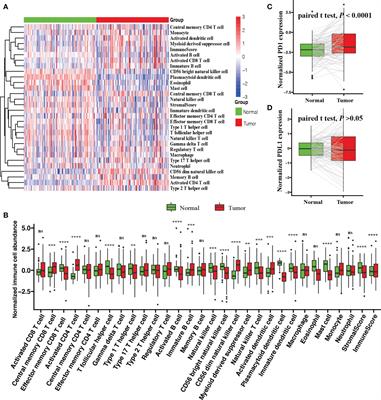 Tumor Microenvironment Characterization in Breast Cancer and an Immune Cell Infiltration Score Development, Validation, and Application